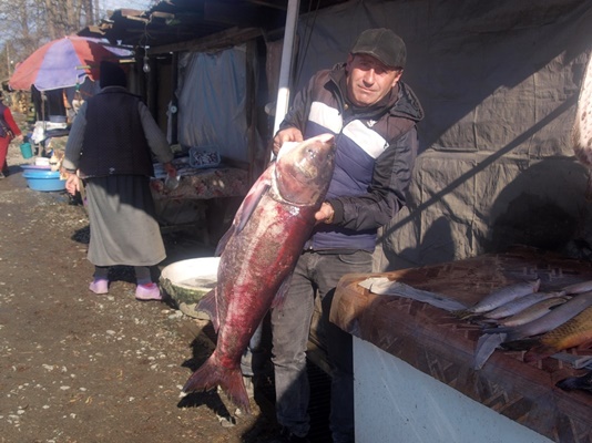 ureki balık pazarı