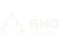 BNG Tech Soft Dondurma Makinesi