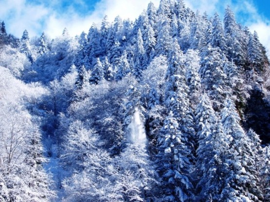 Beyaz da yakışır Karadeniz’e