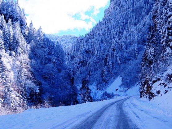Fakat Karadeniz, tüm o mevsimler gibi Kış mevsimlerinde de güzeldir.