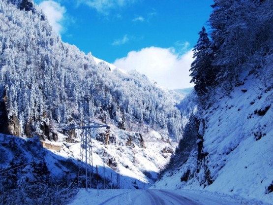 Karadeniz’de sadece bir vadiden, Kara dere vadisinden yukarılara doğru çıktık.