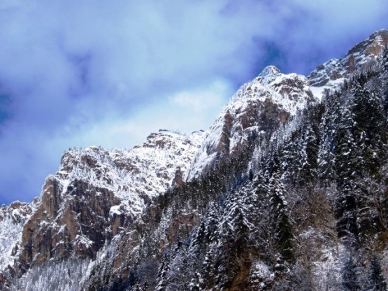 Amacımız Araklı – Bayburt karayolunun bağlantısını sağlayacak Salmankaş tüneline kadar varabilmekti ama olmadı.