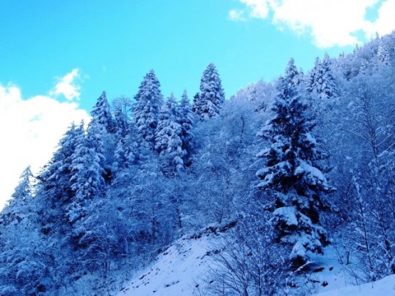 Kar ve buzlanma yüzünden ve aracımız da da zincir ve kar lastiği bulunmadığından yolda kaldık.