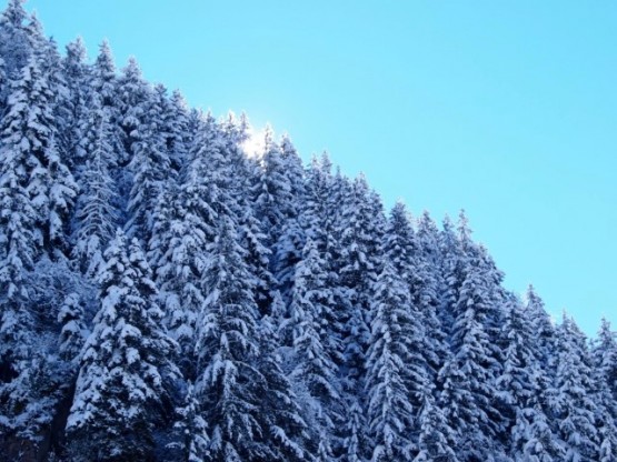 İşte bu fotoğrafları da Erenler ,Çankaya (Dağbaşı),  Kayaiçi (Toroslu) , Çatak  ve  Tilkibeli arasında çektik.