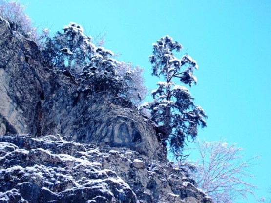 Ne de olsa bu yolları tanıyanlar, hep yaz mevsimlerinde gitmiştir bu yollardan ve kış manzarasına bile özlem duyarlardı.