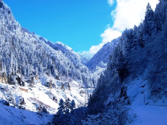 Nitekim, bu yolları adımlamış yaşlı bir kadın İstanbul’da büyük oğlunun gösterdiği bu fotoğrafları öylesine sevmiş ki,