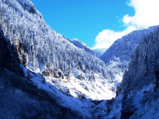 Burası da Tilkibeli