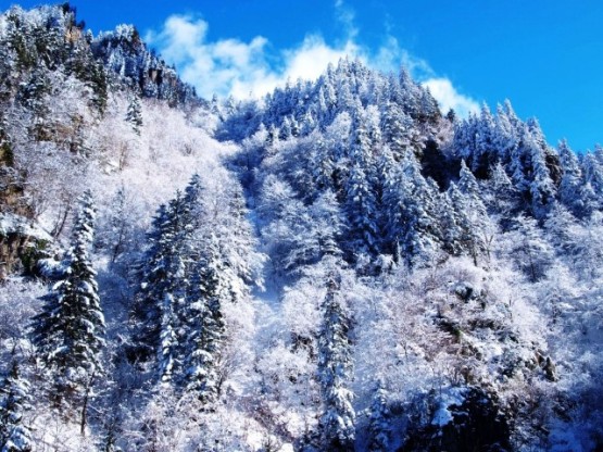 Karadeniz dendiğinde aklınıza gelen yeşilin her tonudur şüphesiz. Öyle ya Karadeniz hep yeşillikleri ile dillere destan olmuş bir yalancı cennetidir Dünya’nın.