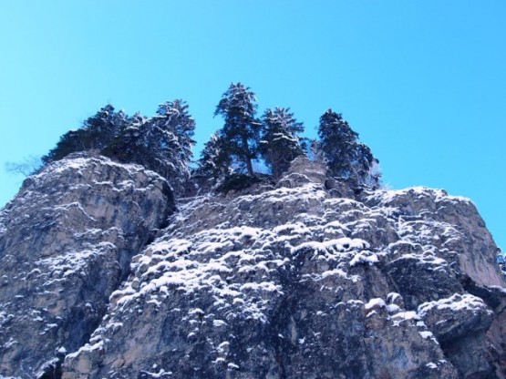 küçük oğluna “bilgisayrada ki  fotirafları göster bana bakayım” diyerek, aynı gece iki kez görmüş ve öylece özlem  gidermiş fotoğraflarla.