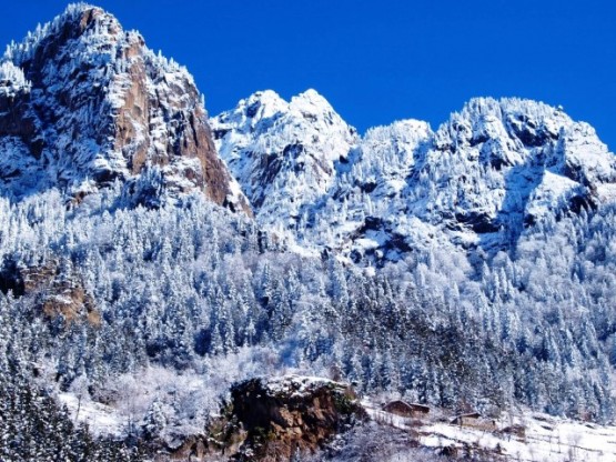 Gelenler bilir de gelemeyenler de gördükleri fotoğraflarla sınırlı tanıyabilir Karadeniz’i öyle değil mi?