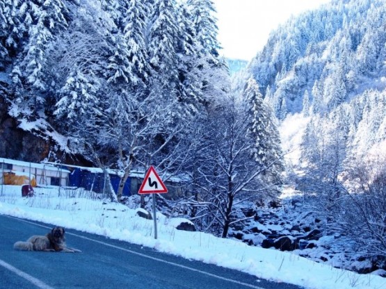 Fotoğraflarla da olsa, belki gerçekte gidenlerin olduğu kadar belki memleketine hiç gelememiş olanları da düşünerek fotoğraf çekiyor ve yayınlıyoruz.