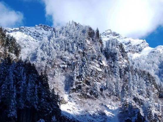 Karadeniz sonbahar mevsiminde de güzeldir.