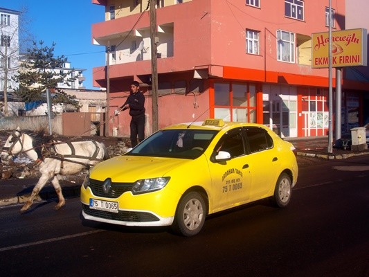 Ardahan'da taksi ve at arabası