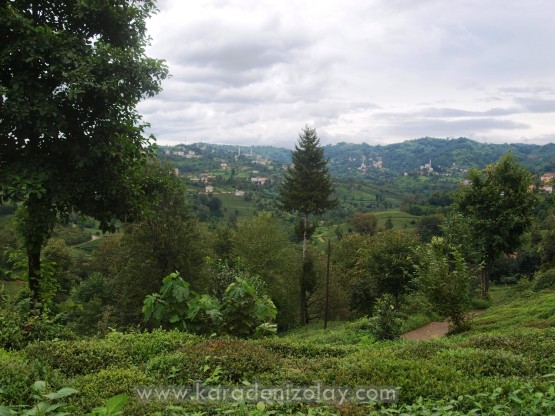 Köşklü köyü - İyidere/Rize