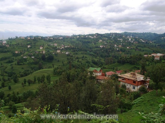 Köşklü köyü - İyidere/Rize