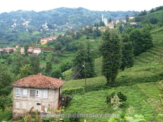 Köşklü köyü - İyidere/Rize