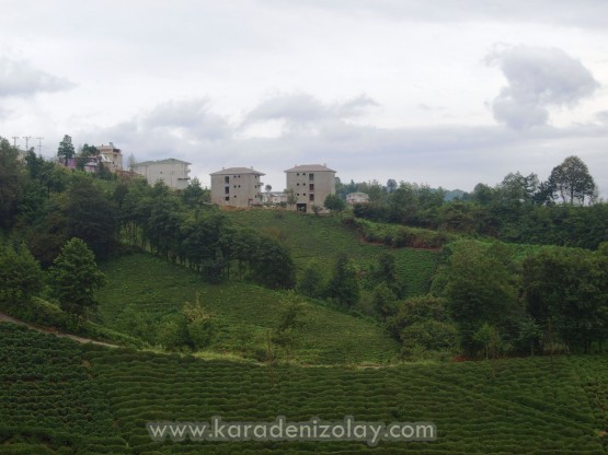 Rize- İyidere  köyleri
