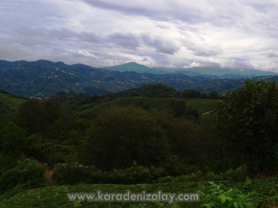 kirazdağı
