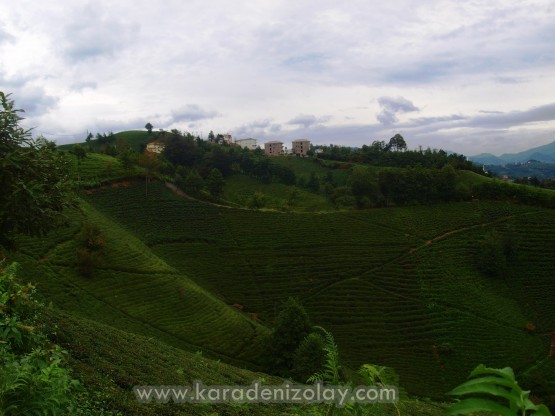 Rize- İyidere  köyleri