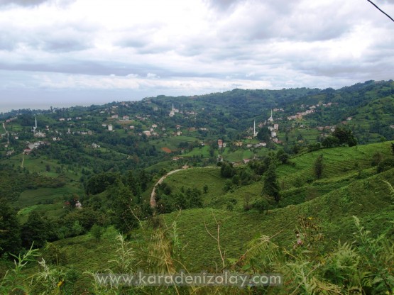 Rize- İyidere  köyleri