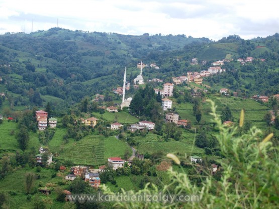 Rize- İyidere  köyleri