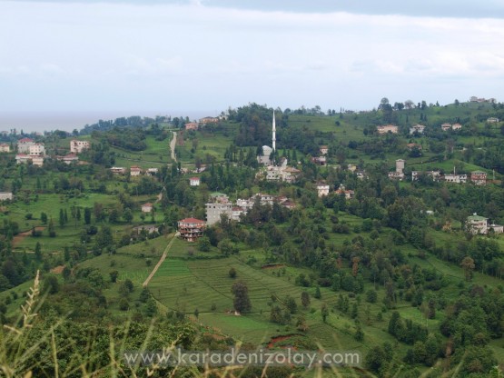 Rize- İyidere  köyleri