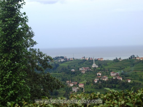 Rize- İyidere  köyleri