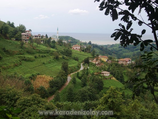 Rize- İyidere  köyleri