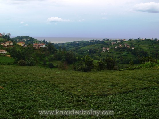Rize- İyidere  köyleri