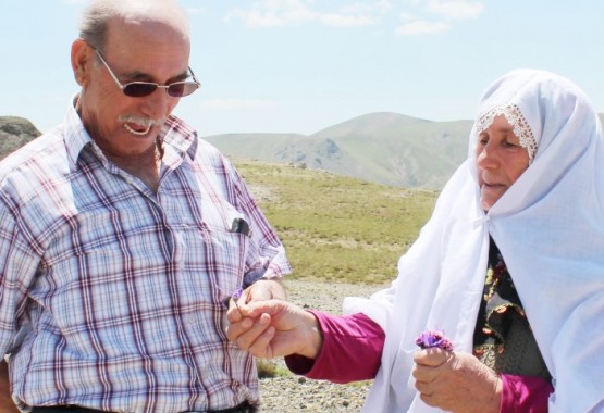 faik_şehriye okumuş