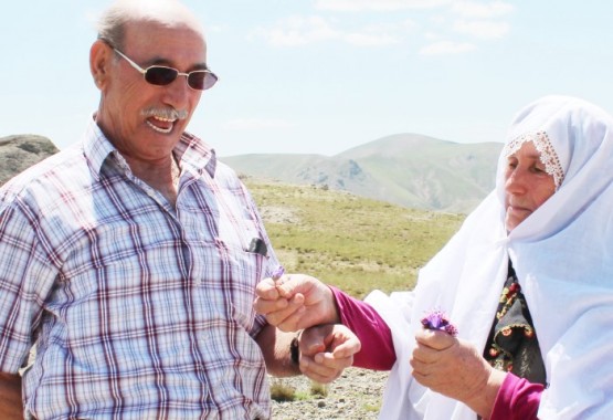 faik_şehriye okumuş