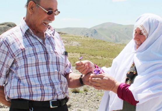 faik_şehriye okumuş