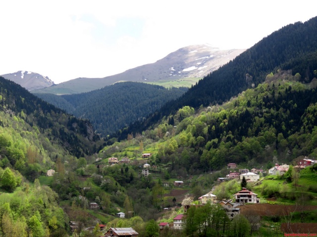 Hamsikoy cevresi 7