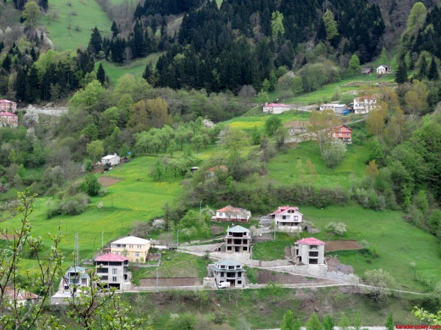Hamsikoy cevresi 9
