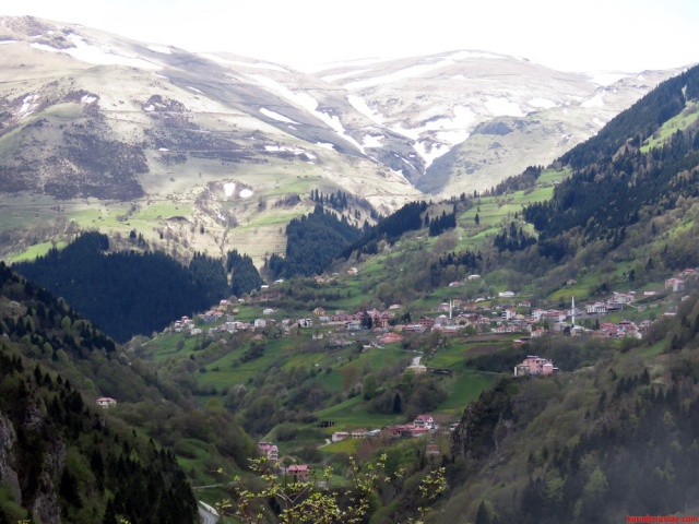 Hamsikoy /trabzon
