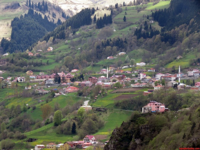 Hamsikoy /trabzon 4