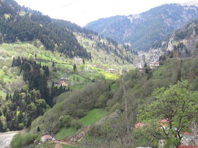 Hamsikoy cevresi 5