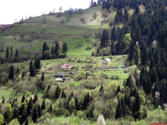 Hamsikoy cevresi 2