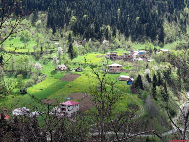 Hamsikoy cevresi