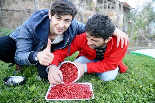 burada haniftanın tadına bakmışlar