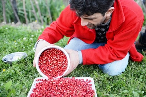bu haniftalar, fotoğrafçekmek için hazırlanıyor