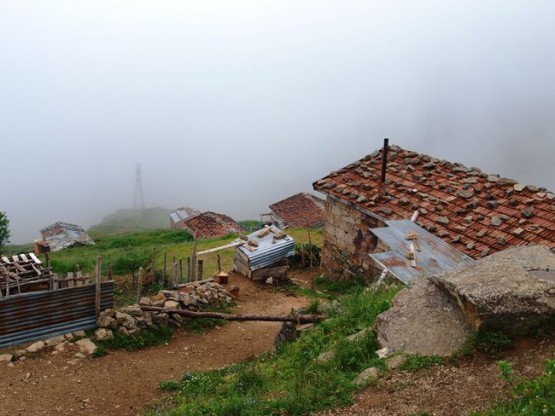 İsporit yaylası - Araklı- Taşgeçit (Goloşa)