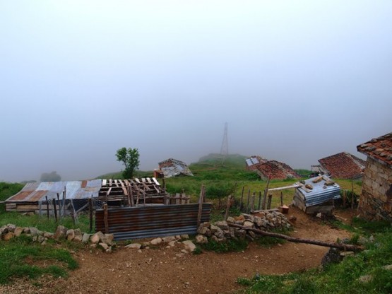 İsporit yaylası - Araklı- Taşgeçit (Goloşa)