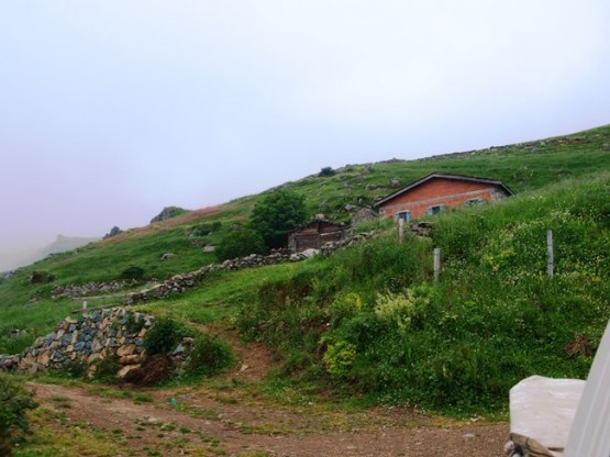 İsporit yaylası - Araklı- Taşgeçit (Goloşa)