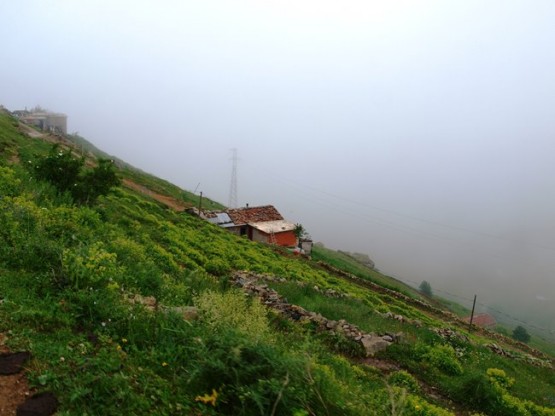 İsporit yaylası - Araklı- Taşgeçit (Goloşa)