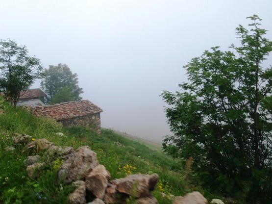 İsporit yaylası - Araklı- Taşgeçit (Goloşa)