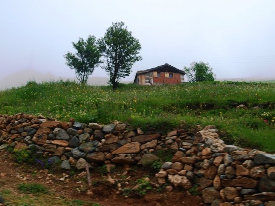 İsporit yaylası - Araklı- Taşgeçit (Goloşa)