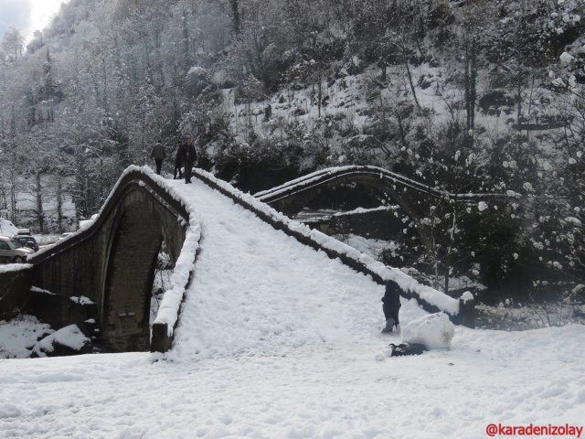 Çiftekörüler /Arhavi/Artvin