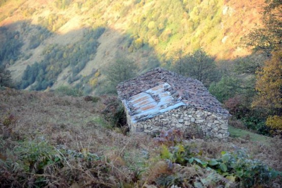 yayla evleri
