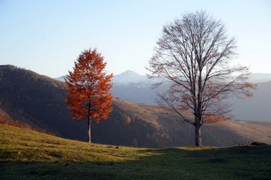 Son bahar ve madur dağı